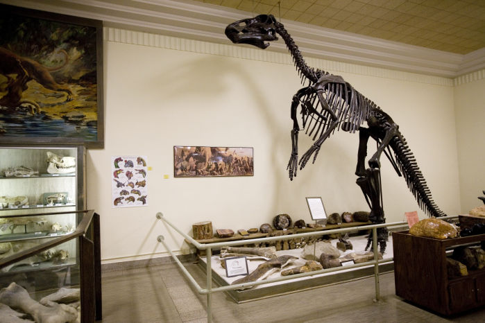 South Dakota School of Mines & Technology Museum of Geology